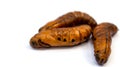 Three Butterfly Pupae Royalty Free Stock Photo