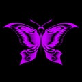 Butterfly purple