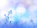 Butterfly and purple flowers blurred background Royalty Free Stock Photo