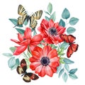 Butterfly and red flowers. Watercolor botanical illustrations. Anemone flower, eucalyptus leaves. Floral painting