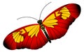 Butterfly with red yellow patterned wings. Summer moth