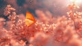 Butterfly Resting on Blooming Cherry Blossoms Royalty Free Stock Photo