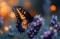 A butterfly sits on a purple flower. A butterfly resting on purple flowers with a close-up shot