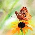 Butterfly on Black-Eyed-Susan Flower. Watercolor. Digital art.