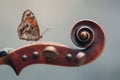 Butterfly Perched on a Violin Scroll: Nature Meets Music in Macro Detail Royalty Free Stock Photo