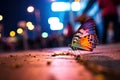 Butterfly on the road in the city at night, Thailand, colourful butterfly on the side walk of a busy street, lots of people, night