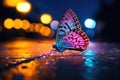 butterfly on the road at night with bokeh background, Colorful butterfly on the sidewalk of a busy street at night, captured Royalty Free Stock Photo