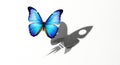 Butterfly s shadow casts a rocket ship shape symbolizing transformation Royalty Free Stock Photo