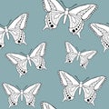 Butterfly seamless patter
