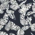 Butterfly seamless pattern