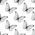 Butterfly seamless pattern. Blue butterfly