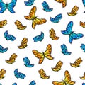 Butterfly seamless pattern.