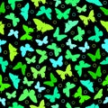 Flying butterflies seamless pattern background vector design. Royalty Free Stock Photo