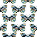 Butterfly Seamless PAttern Royalty Free Stock Photo