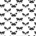 Butterfly Seamless Pattern. Decorative Fly Insect Background. Black and White Botanical Texture Royalty Free Stock Photo