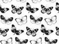 Butterfly Seamless Pattern. Decorative Fly Insect Background. Black and White Botanical Texture Royalty Free Stock Photo