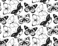 Butterfly Seamless Pattern. Decorative Fly Insect Background. Black and White Botanical Texture Royalty Free Stock Photo