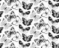 Butterfly Seamless Pattern. Decorative Fly Insect Background. Black and White Botanical Texture Royalty Free Stock Photo