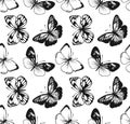 Butterfly Seamless Pattern. Decorative Fly Insect Background. Black and White Botanical Texture Royalty Free Stock Photo