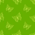 Butterfly seamless pattern. Ornamental hand drawn sketched colorful vector illustration Royalty Free Stock Photo