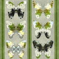Butterfly, Seamless Pattern, Striped Background in green