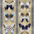 Butterfly, Seamless Pattern, Striped Background in grey, blue, yellow