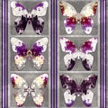 Butterfly, Seamless Pattern, Striped Background in puple and pink