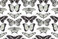 Butterfly seamless vintage background