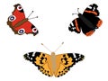 Butterfly set Royalty Free Stock Photo