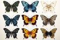 Butterfly set. Collection of different butterflies on white background. Generative AI Generative AI Royalty Free Stock Photo