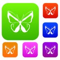 Butterfly set collection Royalty Free Stock Photo