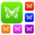 Butterfly set collection Royalty Free Stock Photo