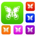 Butterfly set collection Royalty Free Stock Photo