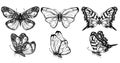 Butterfly set. Collection of insect sketches for design and scrapbooking. Contour butterflies. Collection of Drawings Royalty Free Stock Photo
