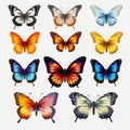 Vibrant Butterfly Illustrations: Hyper-realistic Images On Transparent Background