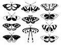 Butterfly set. Vector illustration of black and white butterflies Royalty Free Stock Photo