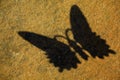 Butterfly shadow stone background