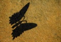 Butterfly shadow stone background