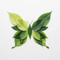A butterfly shape is creatively formed using an assortment of green leaves on a white Royalty Free Stock Photo