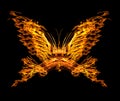 Butterfly shape flame isolated on black