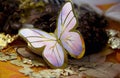 Butterfly shaped paper carton decoration