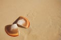 Butterfly shells on the beach in the wet sand Royalty Free Stock Photo