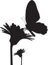 Butterfly silhouette