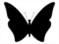 Butterfly silhouette vector art white background