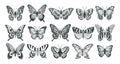 Butterfly silhouette, cartoon outline insect, sketch flying butterflies. Stencil tattoo butterfly silhouettes, hand drawn