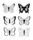 Butterfly silhouette icon set. Simple set of butterfly vector