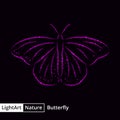 Butterfly silhouette of lights on black background Royalty Free Stock Photo