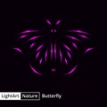 Butterfly silhouette of lights on black background Royalty Free Stock Photo