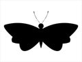 Butterfly silhouette vector art white background