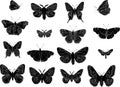 Butterfly silhouettes